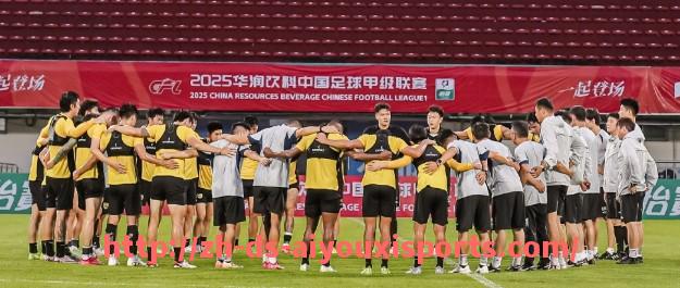 爱游戏体育官网-法甲外援在不同环境下的适应性表现与竞技状态全面分析